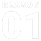 reason01